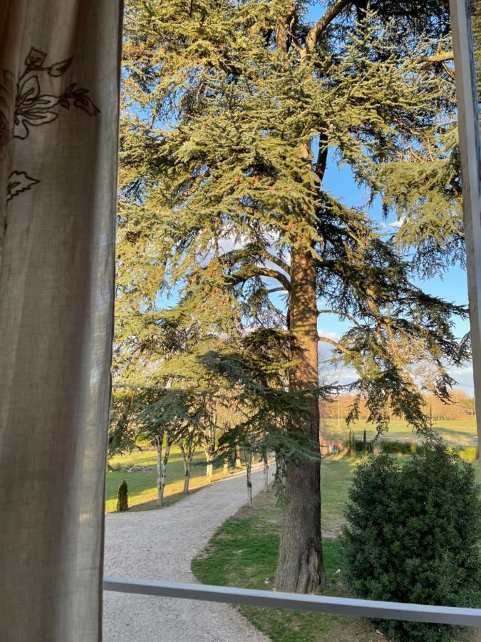 Chateau Du Go Альби Экстерьер фото